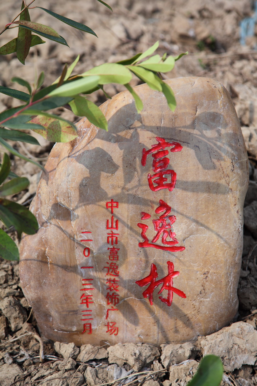 富逸裝飾廣場舉辦第二屆集體義務植樹活動