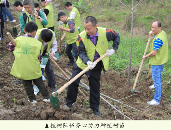 2012“綠色家居行動”火熱進行中