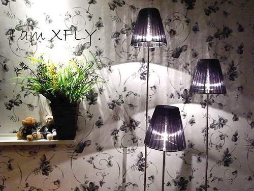 ӿ_b89ƽװRLС