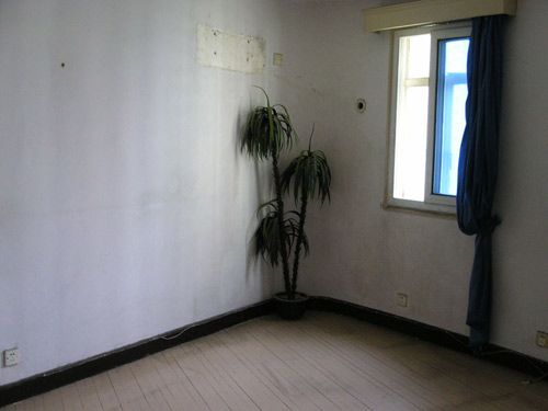 限購令下中山網(wǎng)友翻新老房 變身暖色田園居