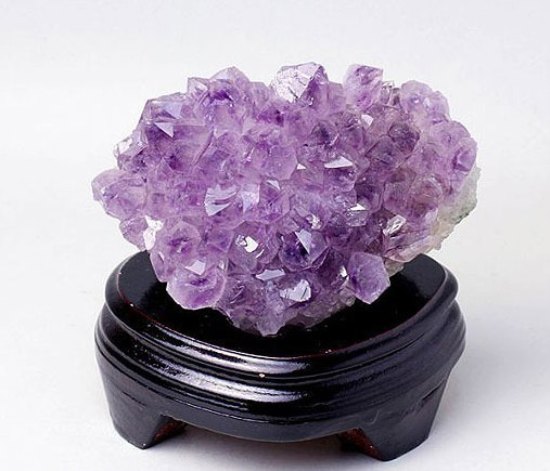 2013蛇年家居風水達人 龍蛇交替瑞呈祥