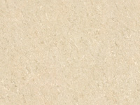 _-uSW13801